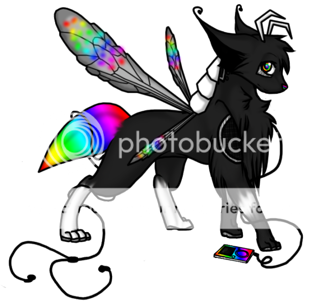 User Image